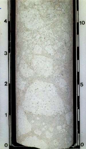Brecciated limestone in core (797). This variety is different from a nodular limestone in that the large particles are angular rather than smooth and rounded.